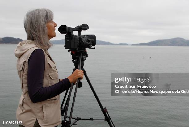 Filmmaker Judy Irving watches for brown pelicans to film from Torpedo Wharf at Crissy Field in San Francisco, Calif. On Tuesday, Sept. 9, 2014....