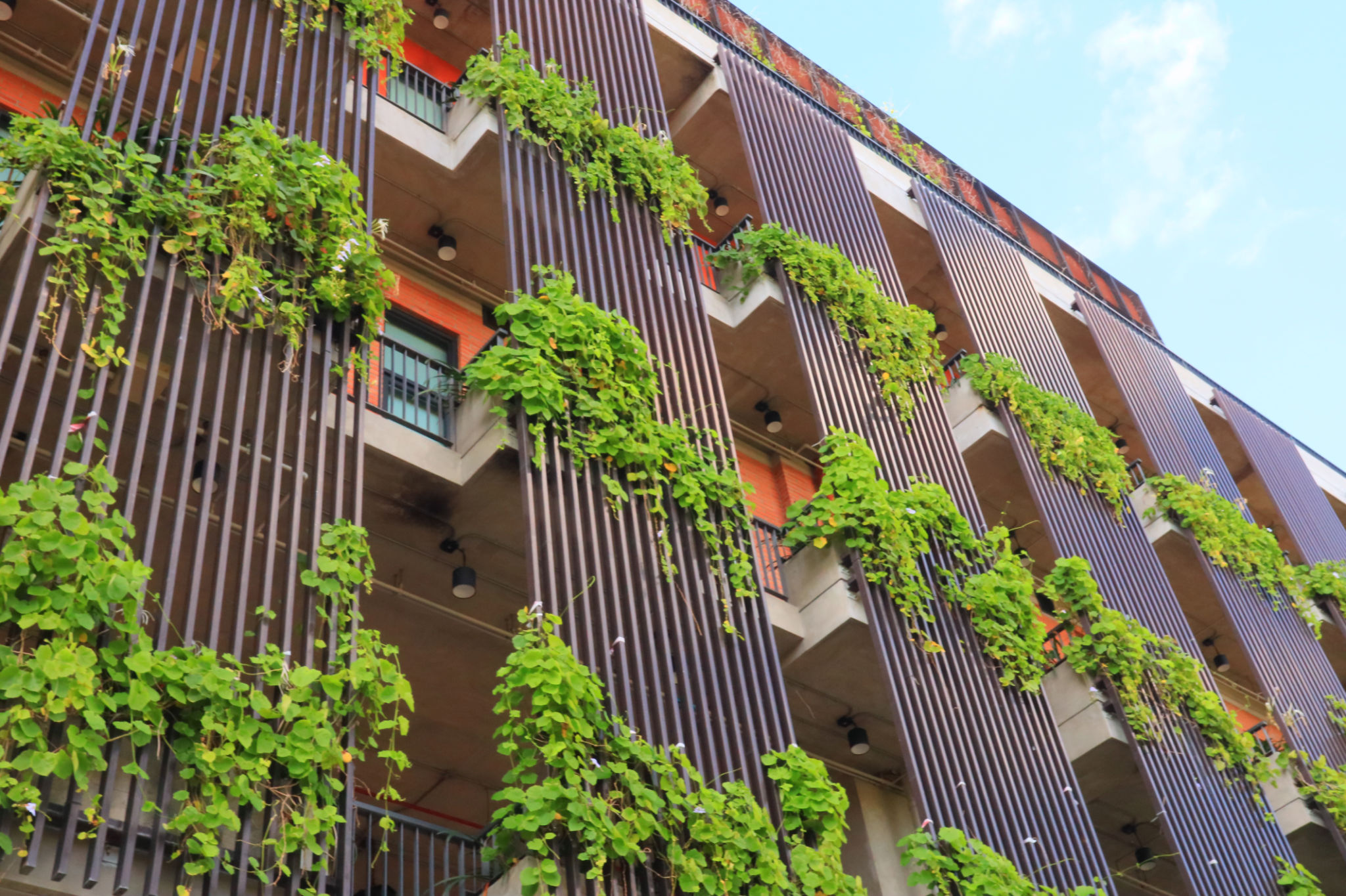 green hotel