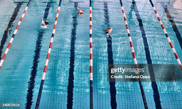 swimmers in lanes of swimming pool - swimming pool stockfoto's en -beelden
