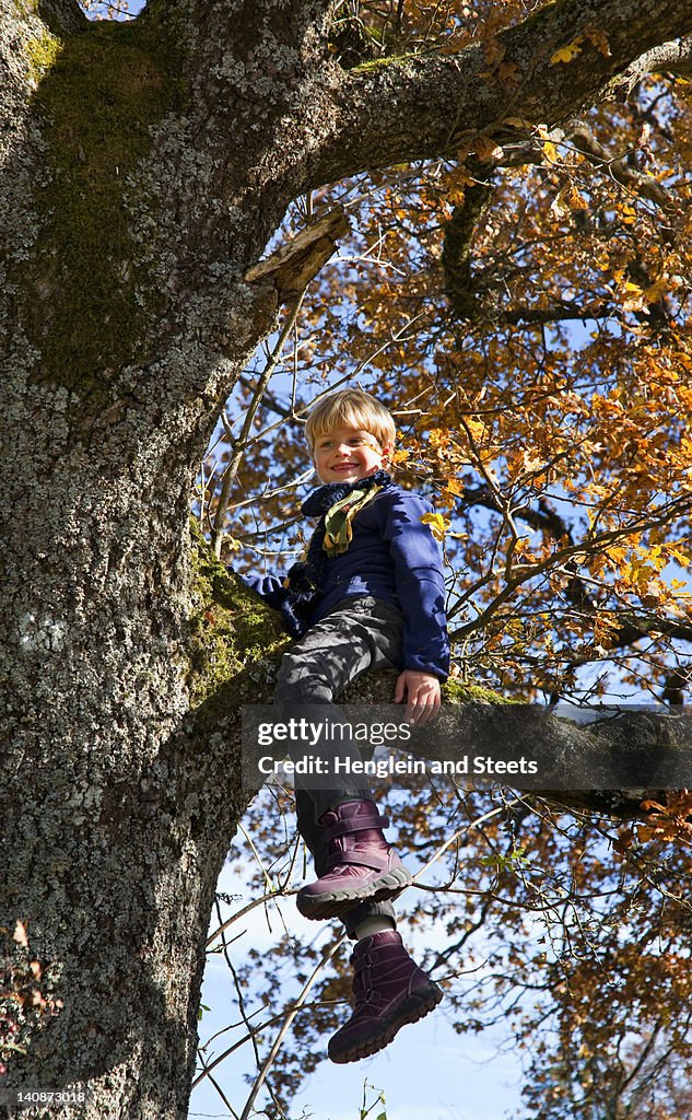 Menino brincando na Árvore