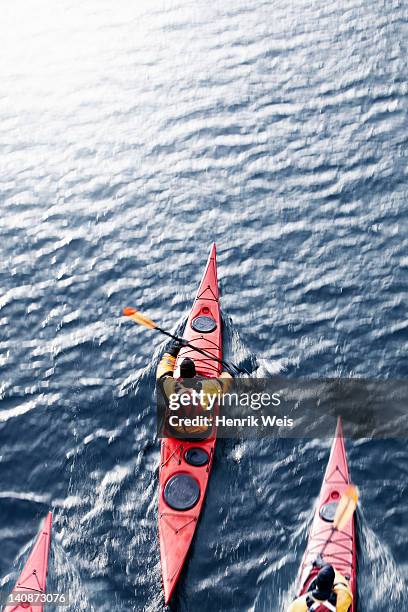 aerial view of kayakers in water - führender rennsport stock-fotos und bilder