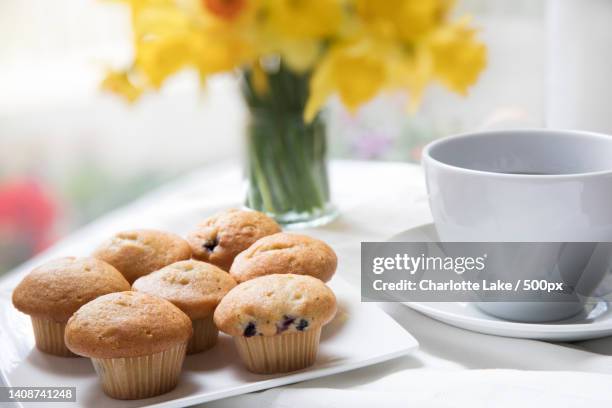 close-up of coffee cup and cookies on table - quality daffodils stock pictures, royalty-free photos & images