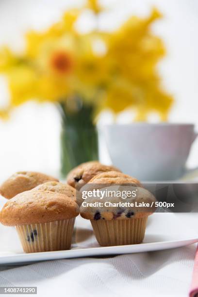 close-up of cupcakes on table - quality daffodils stock pictures, royalty-free photos & images