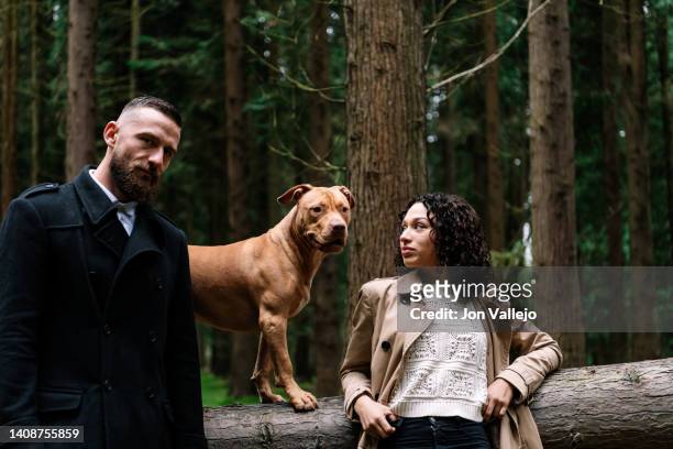 pit bull dog climbing a fallen tree. the animal is next to a young heterosexual couple who are its owners. - southern european descent stockfoto's en -beelden