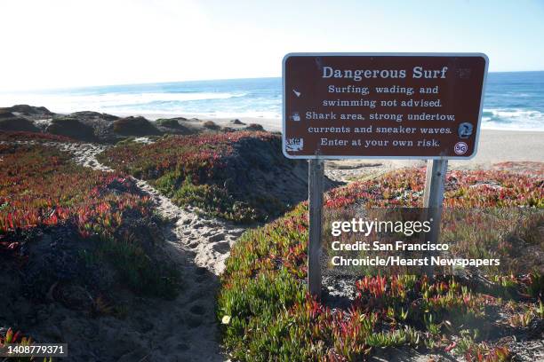 Point Reyes Surf Point Reyes National Seashore Photos and Premium High Res Pictures ...