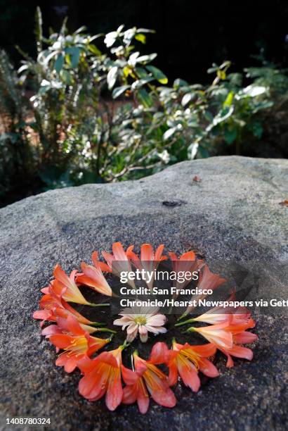 Flower arrangement is left on a rock at the National AIDS Memorial in Golden Gate Park where former President Bill Clinton delivered the keynote...