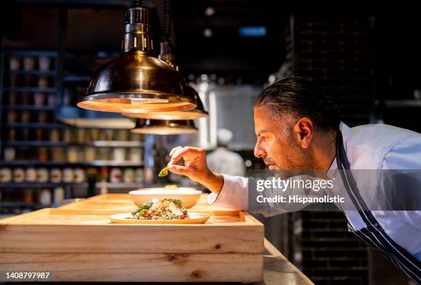 chef decorating a plate while working in the kitchen at a restaurant - chef preparing food stockfoto's en -beelden