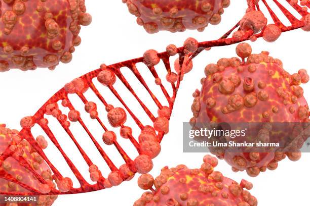 dna spiral with monkeypox virus attacking. - world health organisation stock pictures, royalty-free photos & images