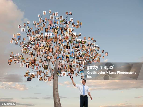 businessman reaching for photograph on tree with photographs as leaves - family tree stock pictures, royalty-free photos & images