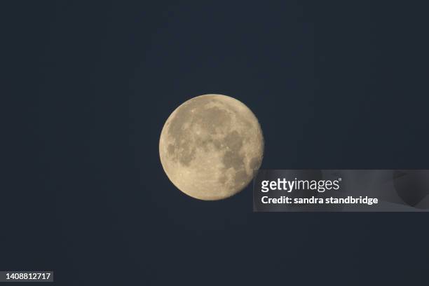 the magnificent buck supermoon seen from hertford heath, uk, july 2022. - planetary moon stockfoto's en -beelden