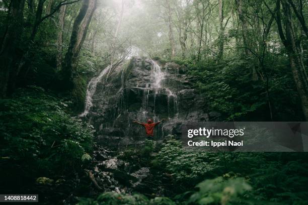 man cheering in front of waterfall, aomori, japan - off the beaten path foto e immagini stock