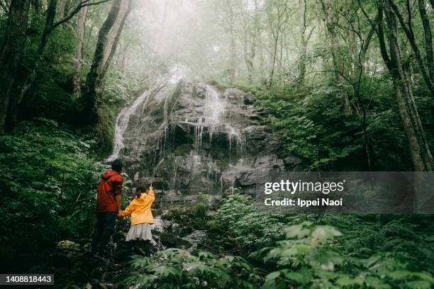 father and child looking at waterfall in rainy forest - 東北地方 ストックフォトと画像