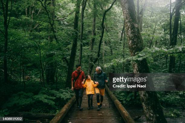 three generation family hiking together in forest in rain - family greenery bildbanksfoton och bilder