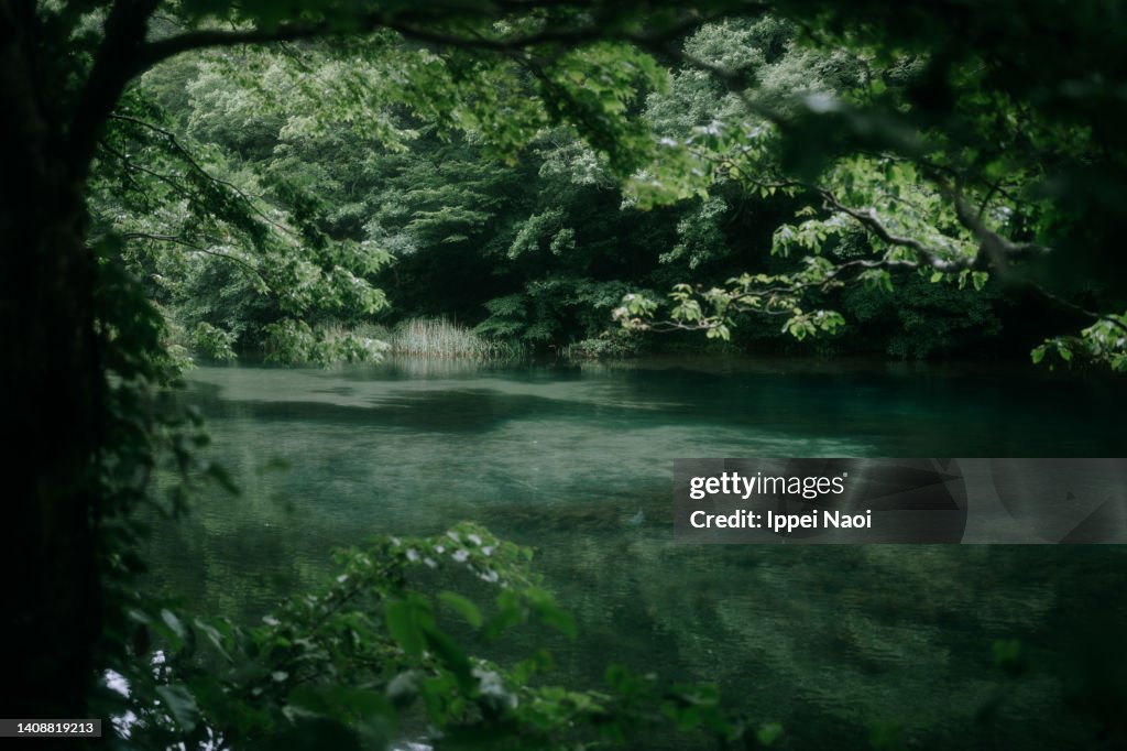 Oirase River, Aomori, Northern Japan