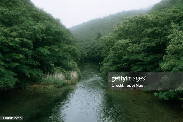 oirase river, aomori, northern japan - 川 日本 ストックフォトと画像