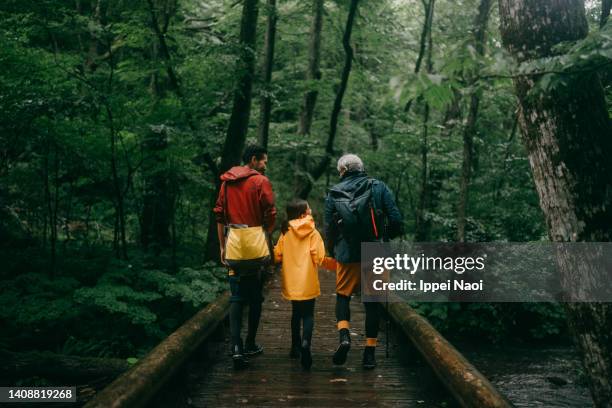 three generation family hiking together in forest in rain - レインコート ストックフォトと画像