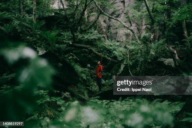 man pondering in forest in rain - i mac stock pictures, royalty-free photos & images