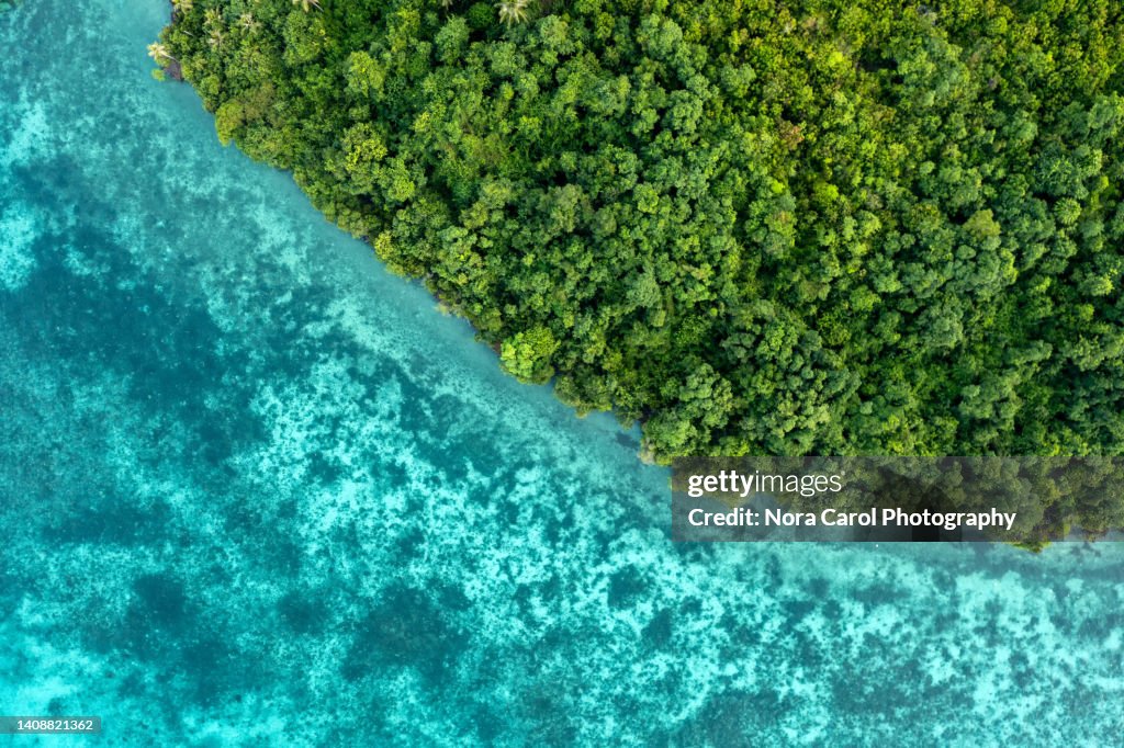 Drone Point of View Of Tropical Island and Ocean