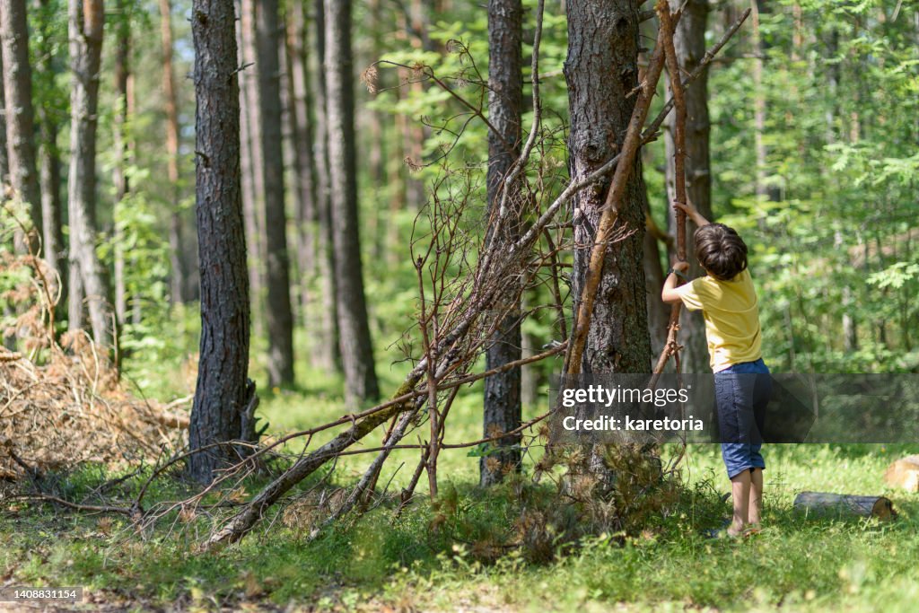 Boy building house in forest