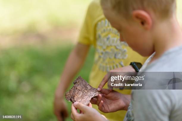 two boys playing treasure hunt with imaginary map - treasure hunt stock pictures, royalty-free photos & images