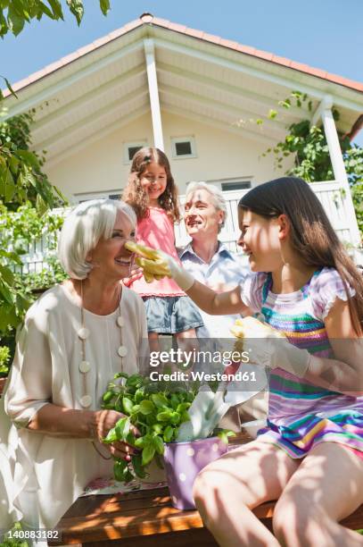 germany, bavaria, family gardening together, smiling - potting bench stock pictures, royalty-free photos & images