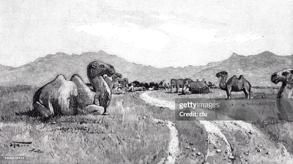 Entrance avenue to the tombs of the Chinese Ming Emperors, stone animals
