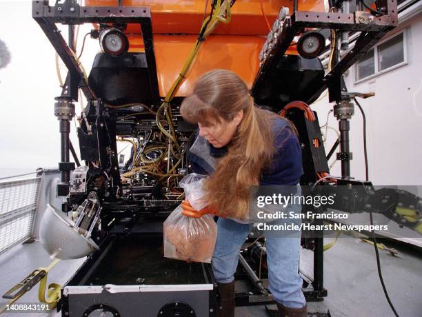 Monterey Bay Aquarium Research Biologist Susan Lisin removes one of the prized Pom Pom Anemones from the storage bin of the ROV robotic submersible...