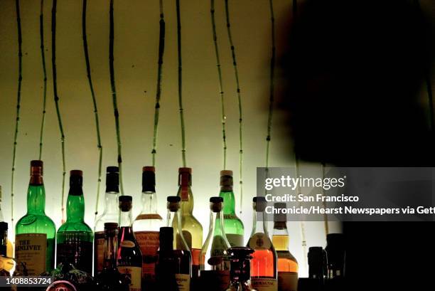 The bar back at Tamarine restaurant in Palo Alto, Ca., contains a layer of esquisito, a bamboo-like grass in between two layers of glass, making a...