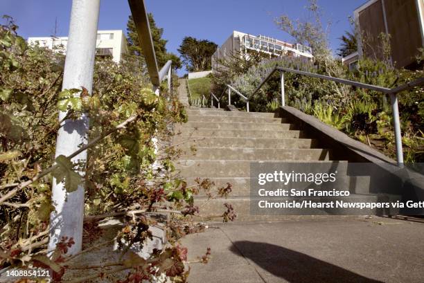 The stairs at the base of 16th Avenue and Moraga in San Francisco, Ca., has some hazardous poison oak that users might not find too comfy. --- Sent...