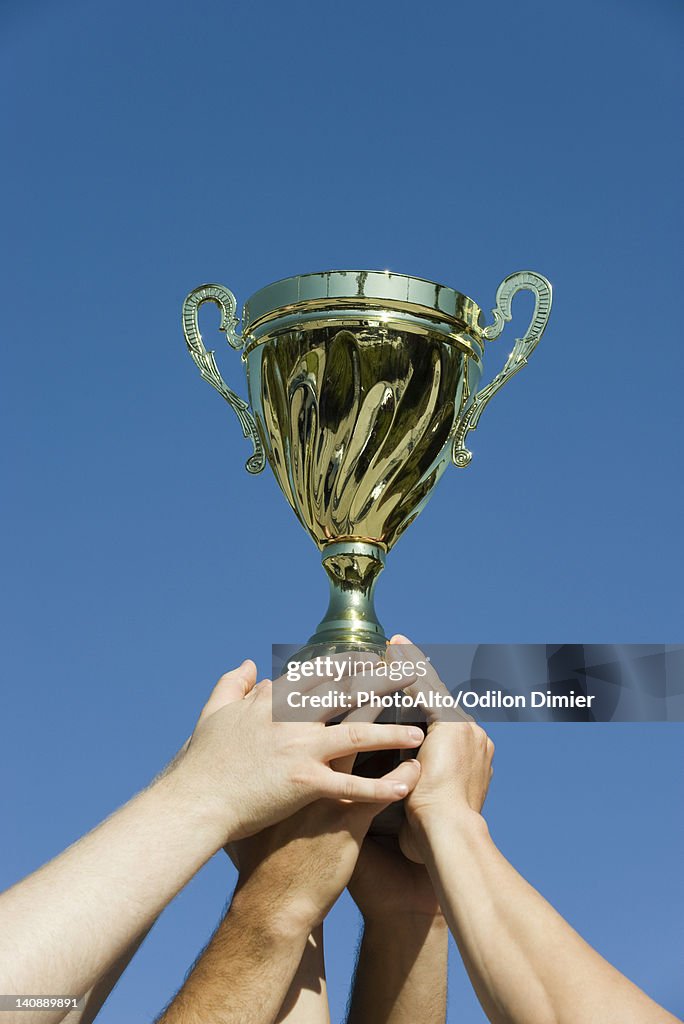 Teammates holding up trophy, cropped