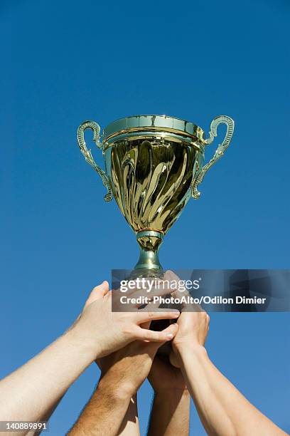 teammates holding up trophy, cropped - team usa awards stockfoto's en -beelden