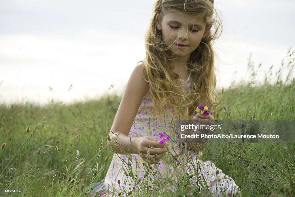 Girl picking wildflowers