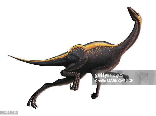 ilustraciones, imágenes clip art, dibujos animados e iconos de stock de artwork of an ornithomimus dinosaur - omnívoro