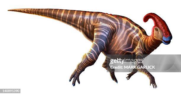 artwork of a parasaurolophus dinosaur - animal's crest stock illustrations