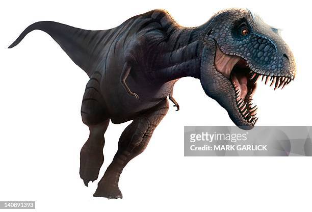 artwork of a tyrannosaurus rex running - extinct species stock illustrations