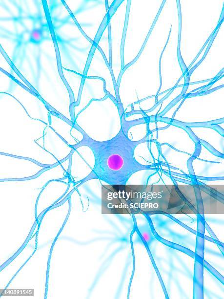nerve cell, artwork - neuron stock illustrations