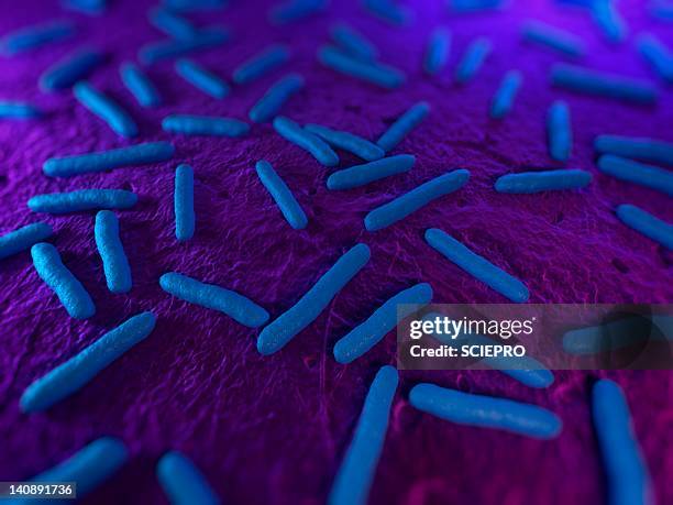 e. coli bacteria, artwork - rod bacteria stock illustrations
