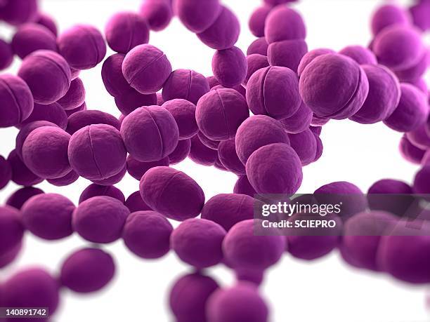 streptococcus bacteria, artwork - streptococcus stock-grafiken, -clipart, -cartoons und -symbole