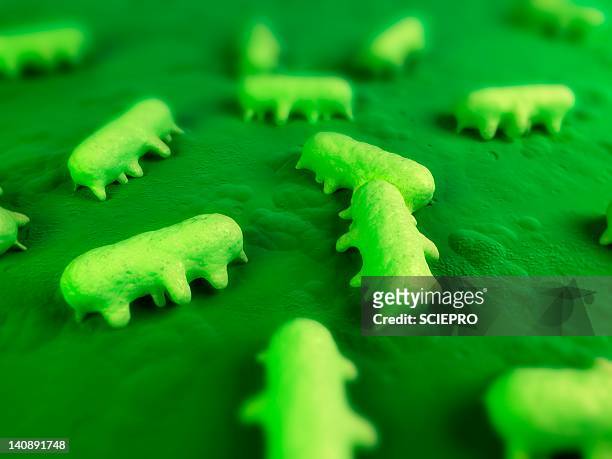 salmonella bacteria, artwork - salmonellen stock-grafiken, -clipart, -cartoons und -symbole