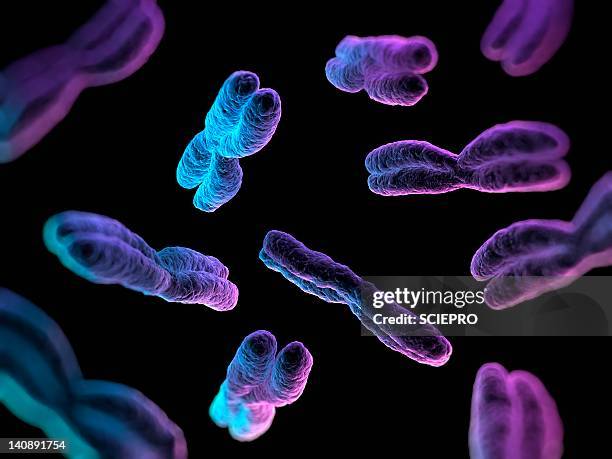 chromosomes, artwork - biochemistry stock illustrations