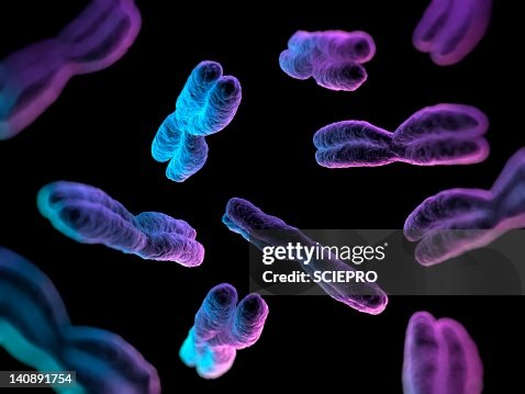 Chromosomes, artwork Chromosomes, artwork