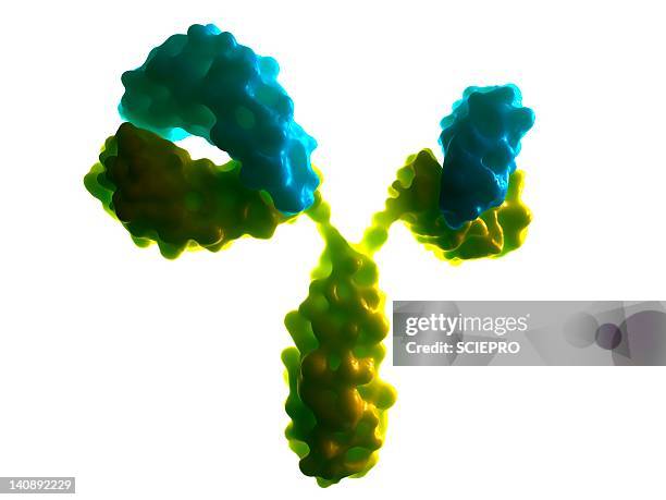 stockillustraties, clipart, cartoons en iconen met antibody, artwork - antibody