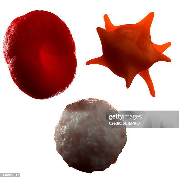 blood cells, artwork - rotes blutkörperchen stock-grafiken, -clipart, -cartoons und -symbole