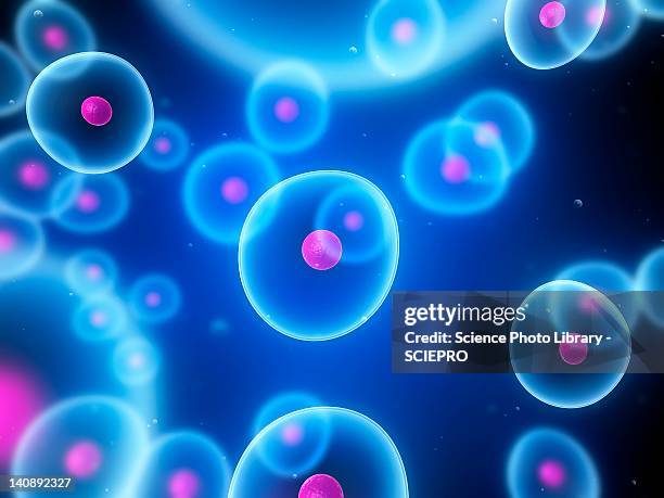 cells, conceptual artwork - cell nucleus stock illustrations