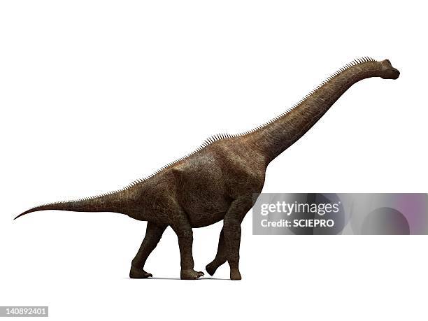 brachiosaurus dinosaur, artwork - quadrupedalism stock illustrations