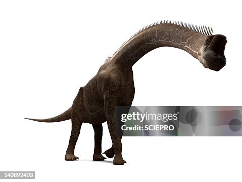 Brachiosaurus dinosaur, artwork Brachiosaurus dinosaur, artwork