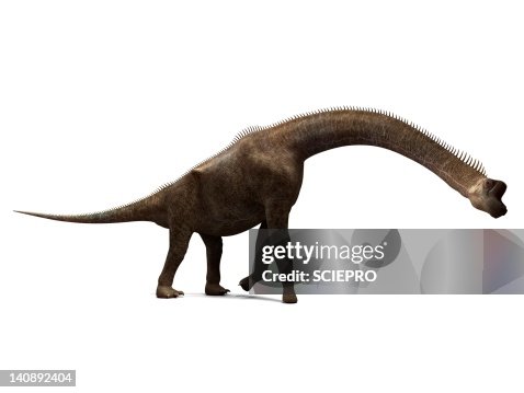 Brachiosaurus dinosaur, artwork Brachiosaurus dinosaur, artwork