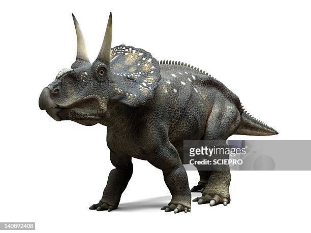 ilustraciones, imágenes clip art, dibujos animados e iconos de stock de nedoceratops dinosaur, artwork - triceratops