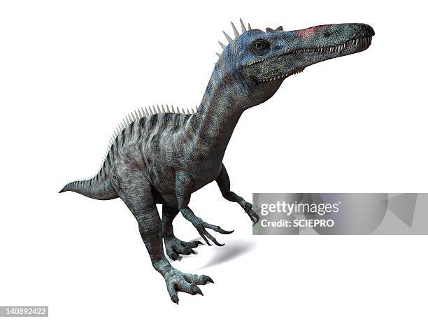 suchomimus dinosaur, artwork - suchomimus stock illustrations