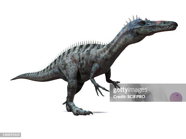 suchomimus dinosaur, artwork - suchomimus stock illustrations